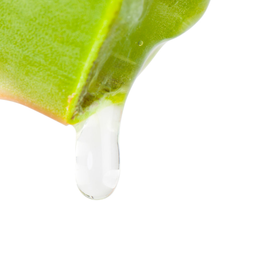 Hydrocure & Silky Body Cream